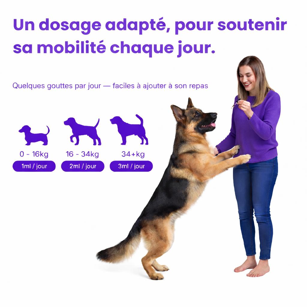 MonChienSain Articulavie - Complément Articulaire au Collagène pour Chiens