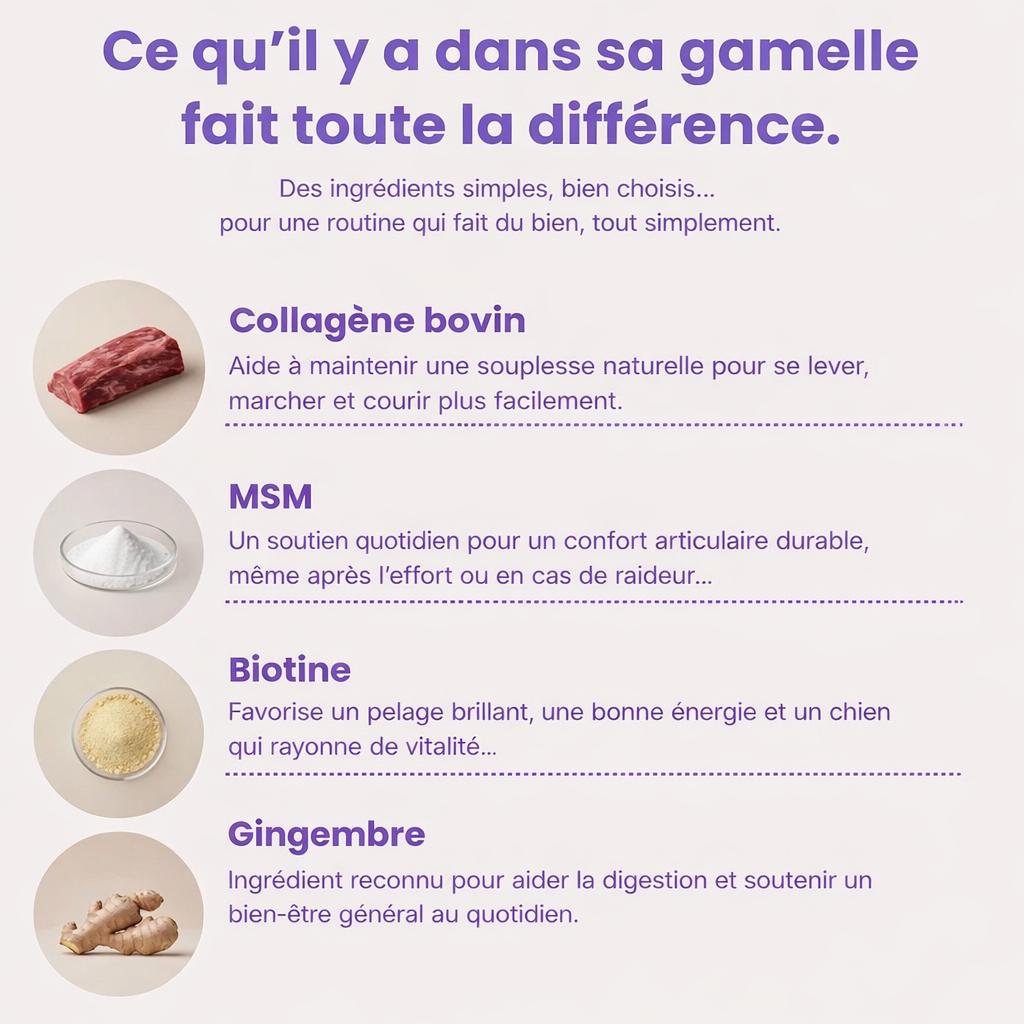 MonChienSain Articulavie - Complément Articulaire au Collagène pour Chiens